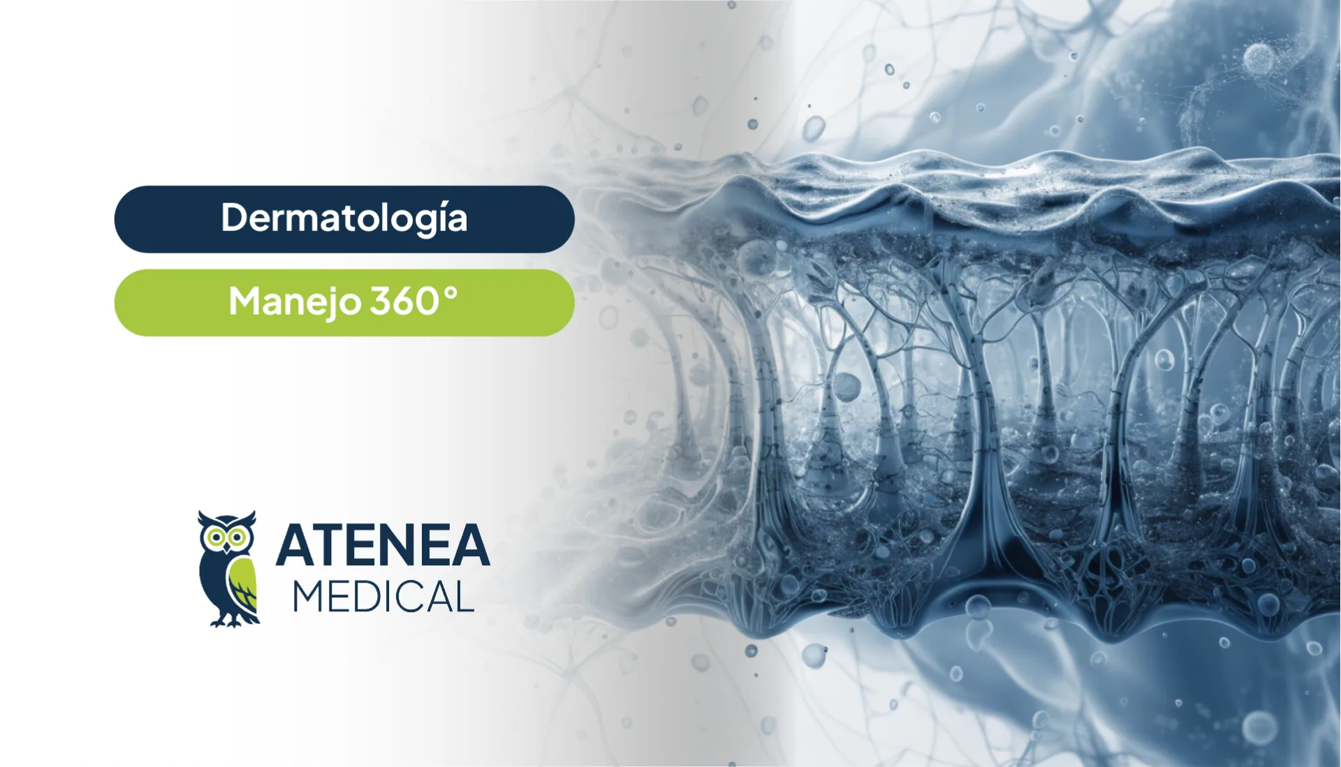 Dermatología Manejo 360º