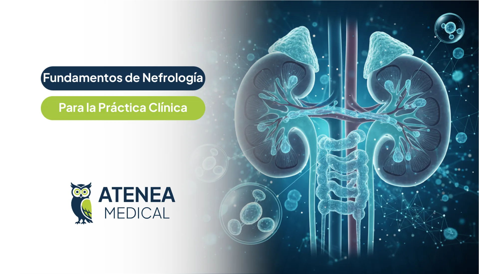 Fundamentos de Nefrología para Práctica Clínica