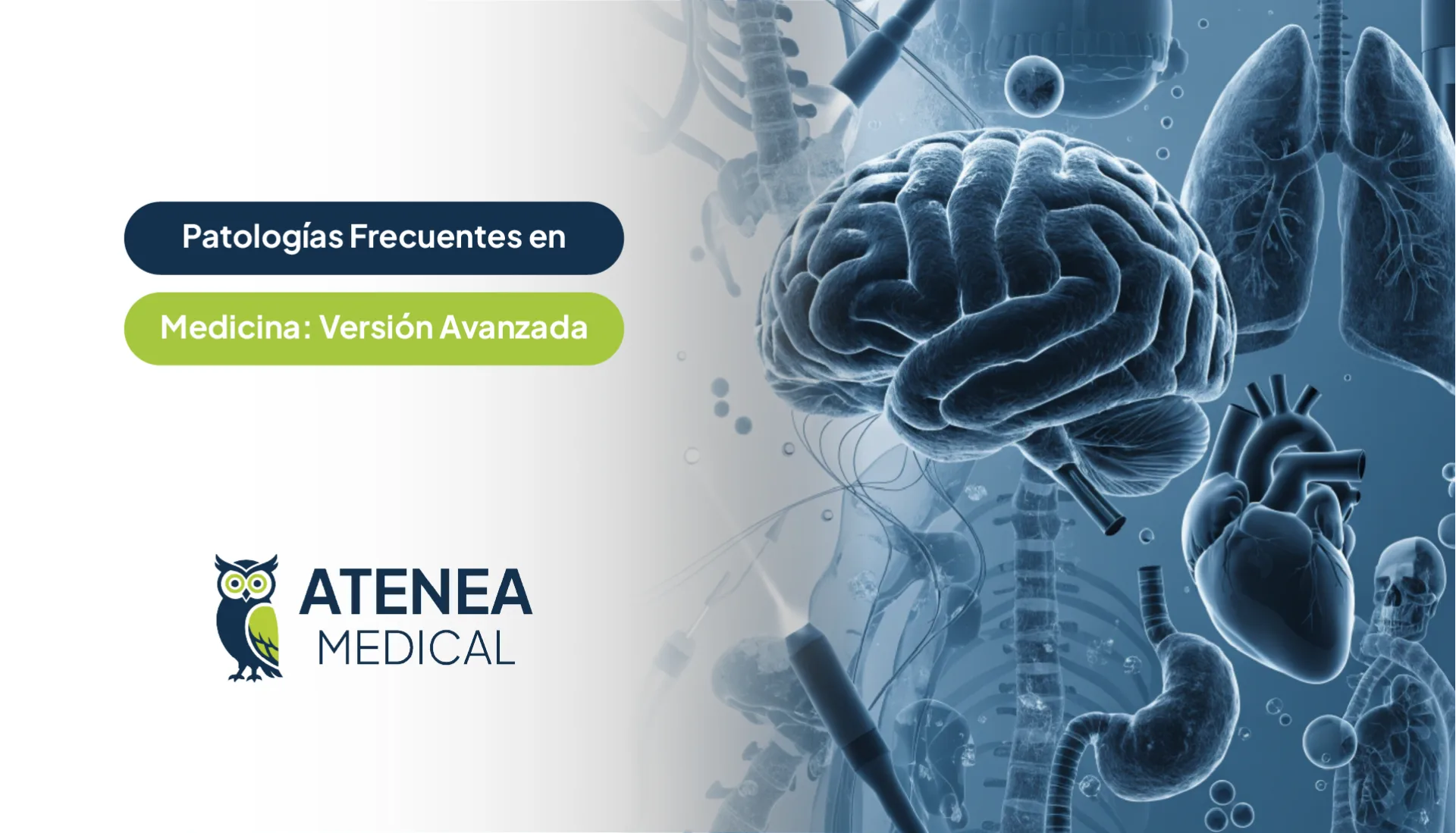 Patologías Frecuentes en Medicina - Examen 2027