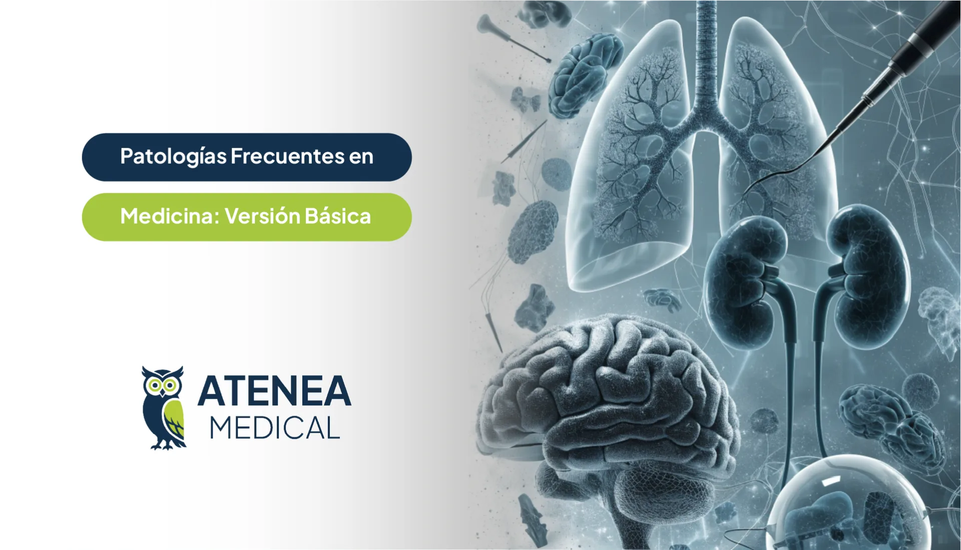 Patologías Frecuentes en Medicina: Versión Básica - Examen 2027