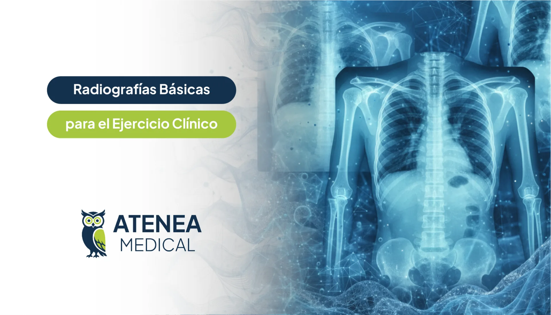 Radiografías Básicas para el Ejercicio Clínico