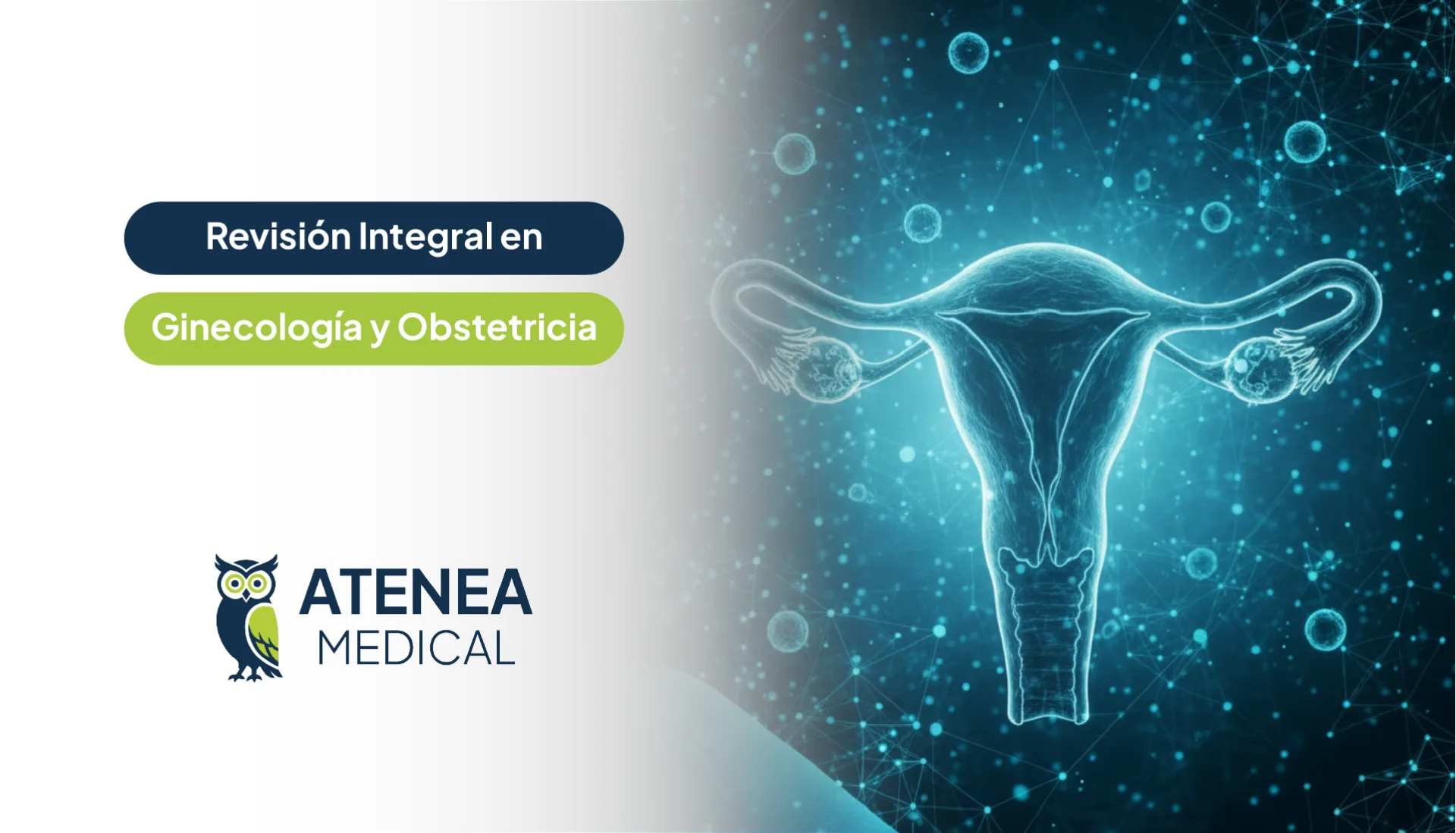 Curso de II Etapa: Revisión Integral en Ginecología y Obstetricia