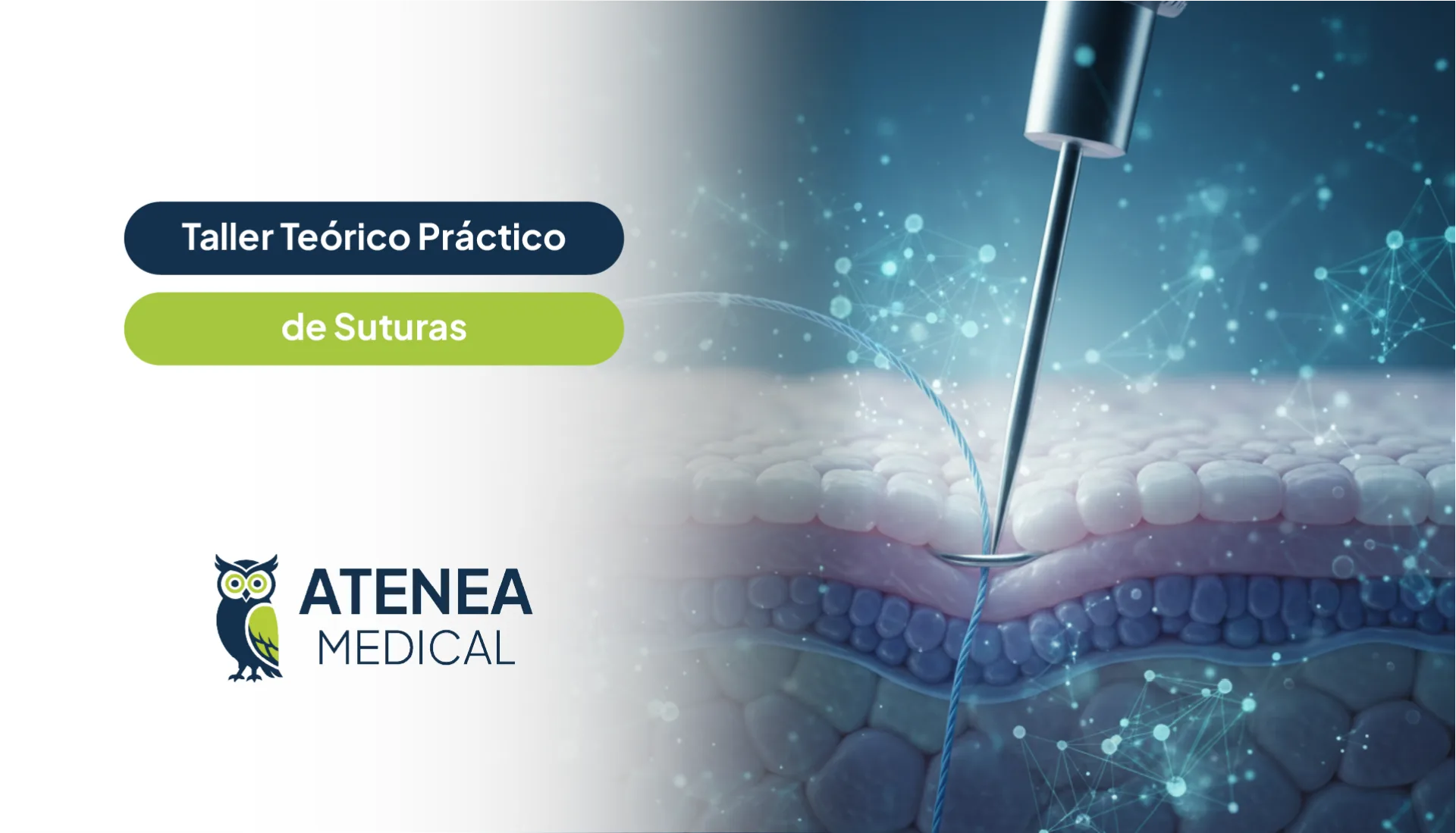 Taller Teórico - Práctico de Suturas