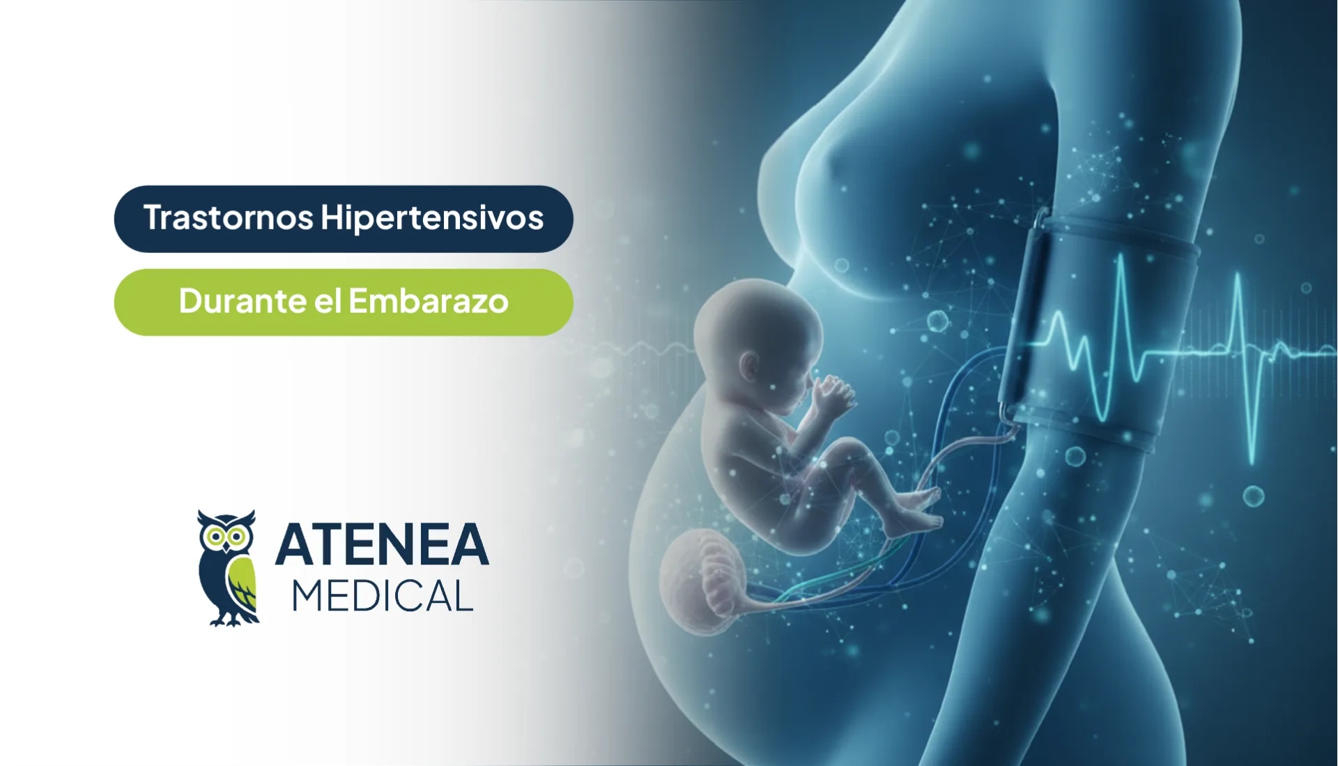 Trastornos Hipertensivos del Embarazo