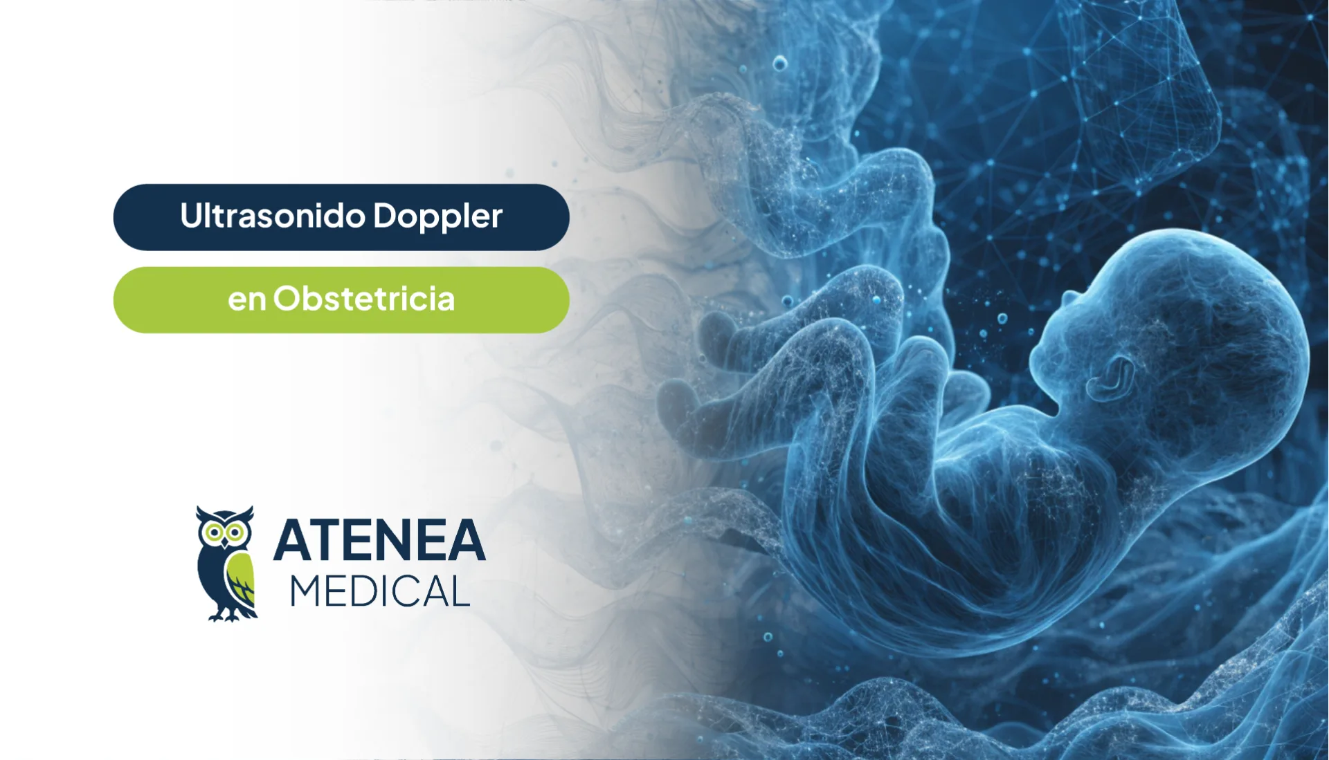 Ultrasonido Doppler en Obstetricia