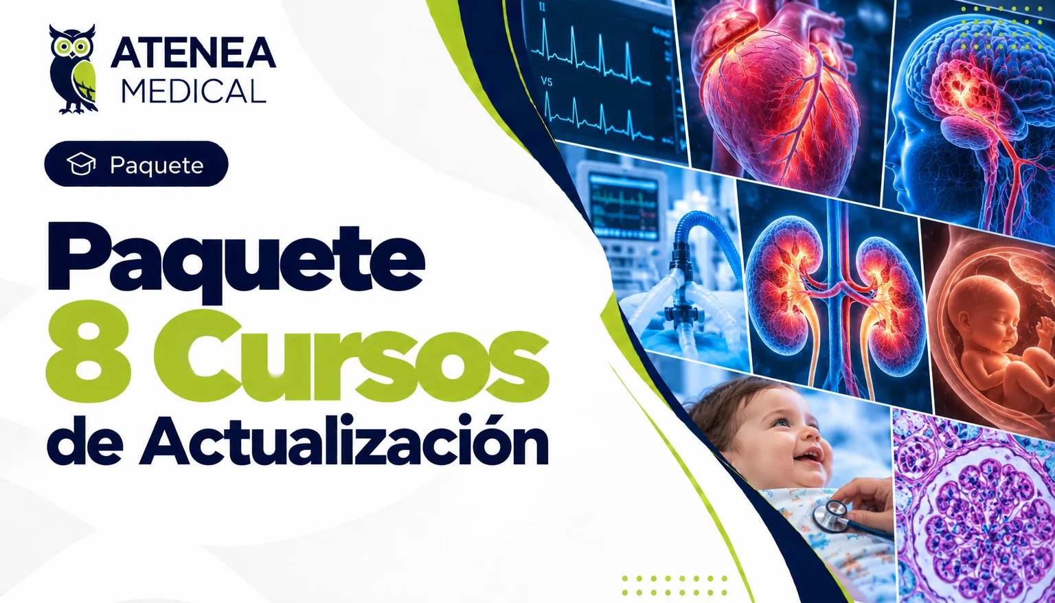 Paquete 8 Cursos