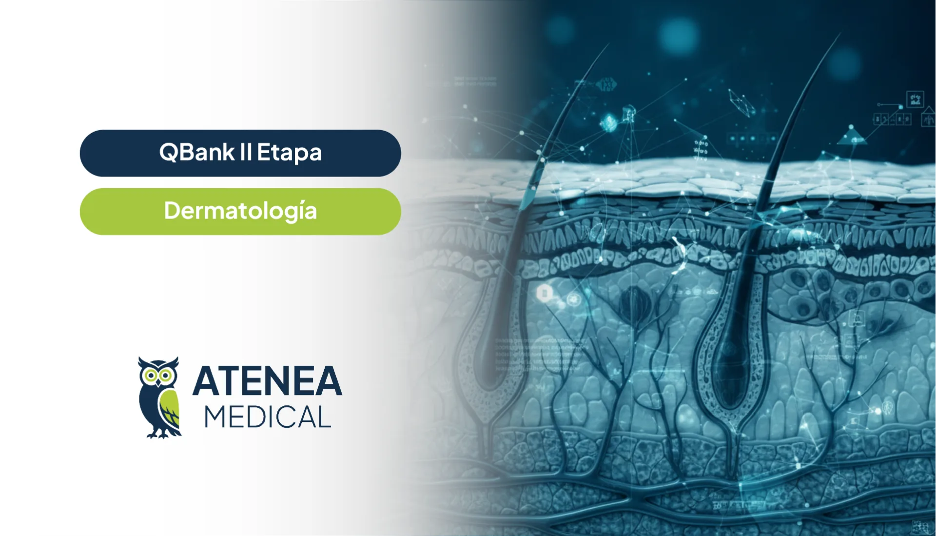 Qbank Atenea II Etapa - Dermatología