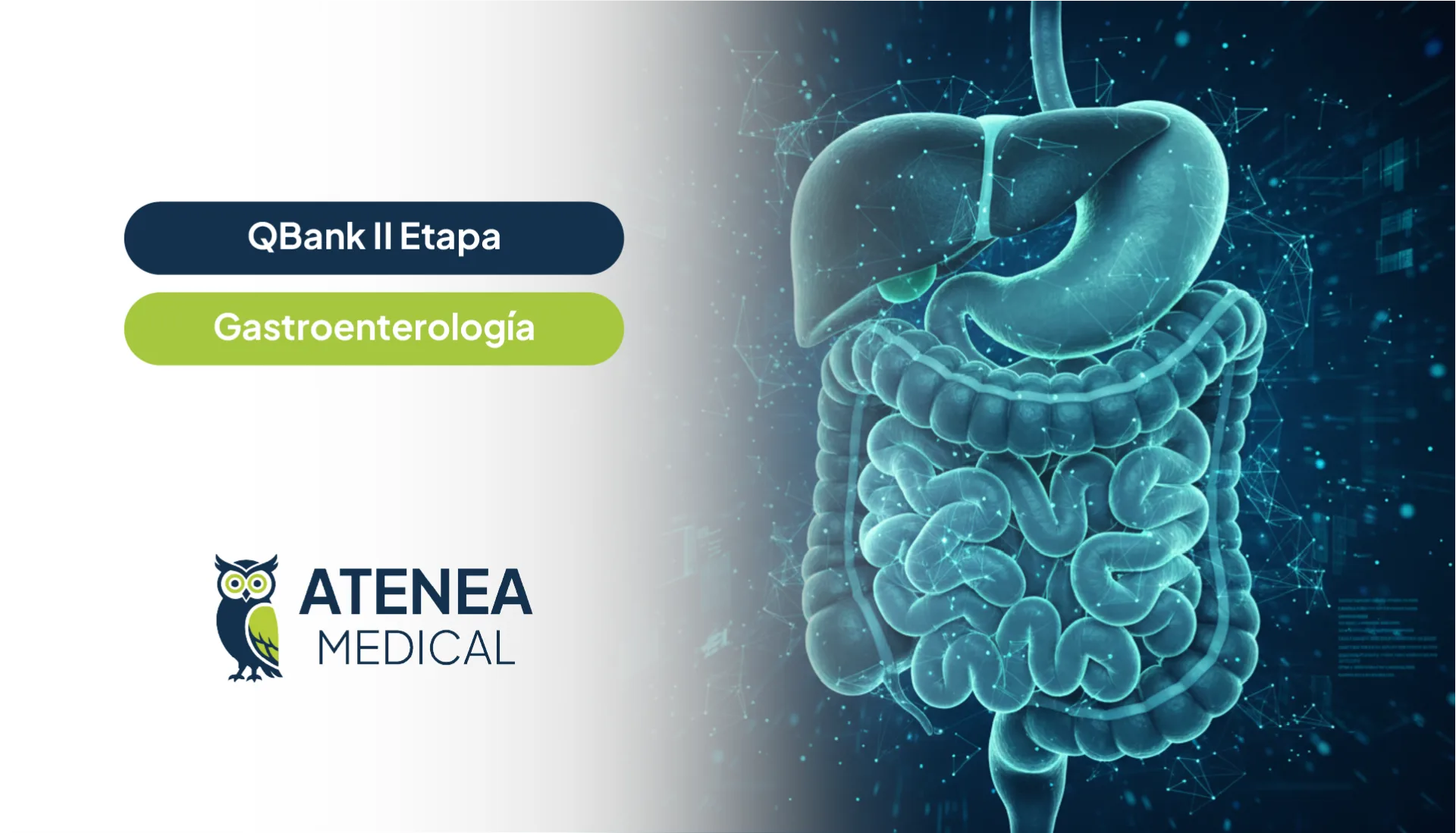Qbank Atenea II Etapa - Gastroenterología