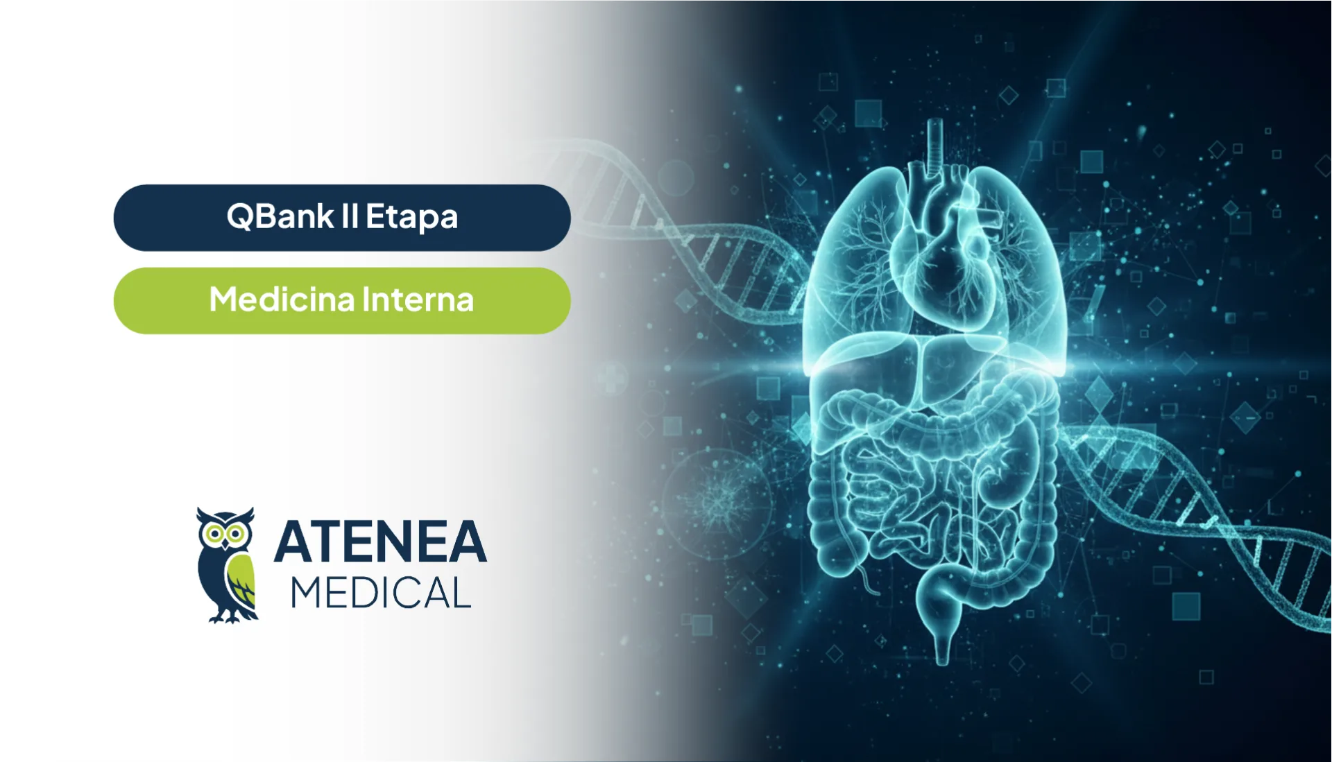 Qbank Atenea II Etapa - Medicina Interna