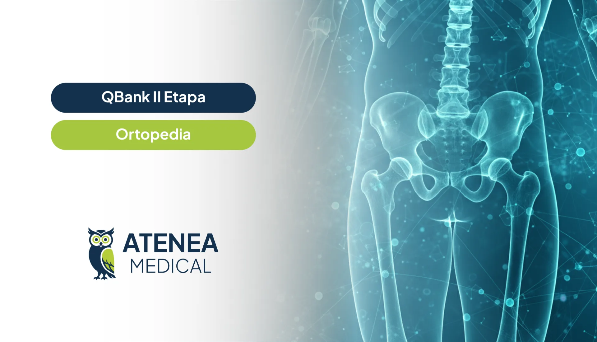 Qbank Atenea II Etapa - Ortopedia