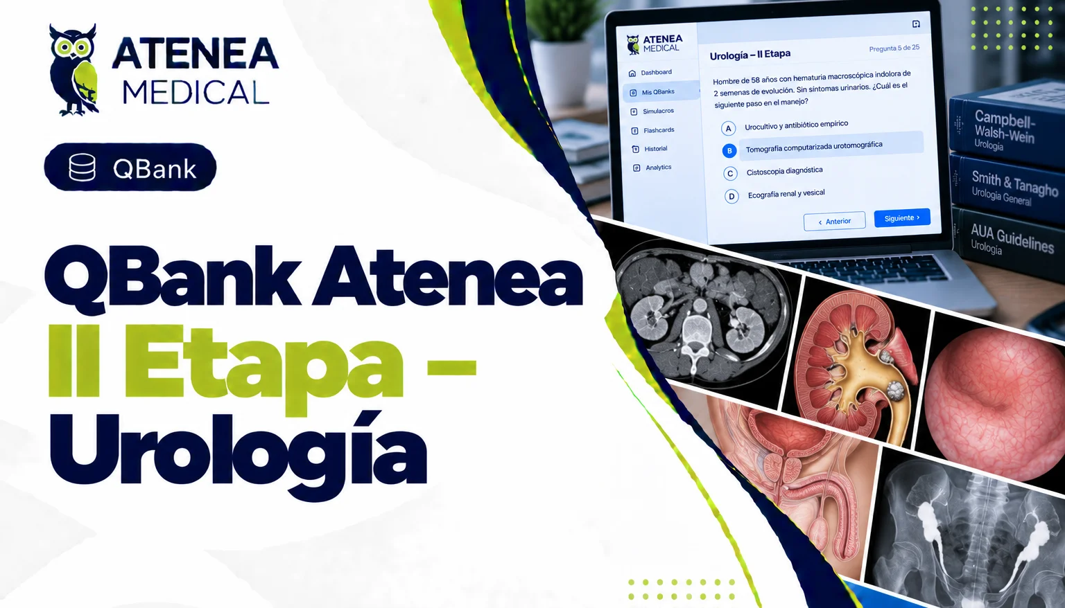 Qbank Atenea II Etapa - Urología